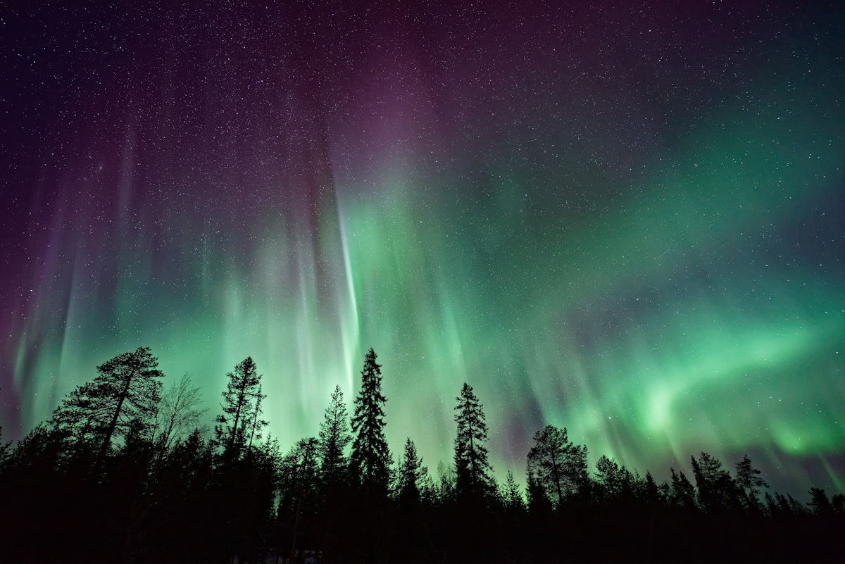 The Science-Adjacent Case for Cyclical Living